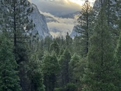Kings Canyon National Park