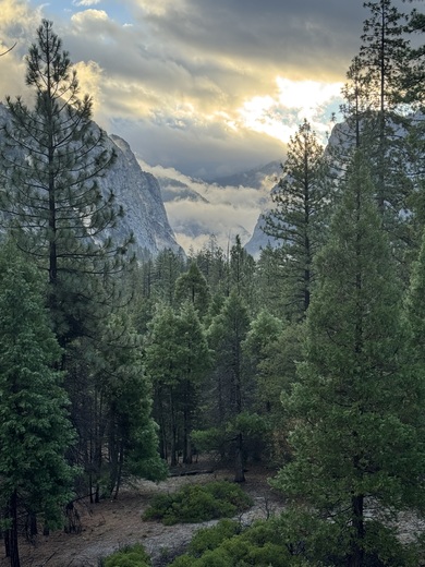 Kings Canyon National Park