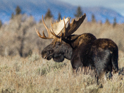 Grand Teton National Park