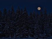 Grand Mesa National Forest