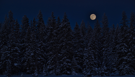 Grand Mesa National Forest