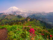 Mount Rainier National Park