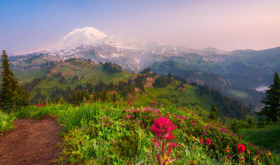 Mount Rainier National Park