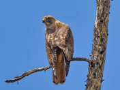 Rocky Mountain National Park 