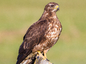 Bear Lake National Wildlife Refuge