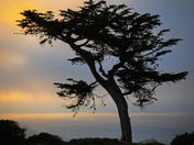 Golden Gate National Recreation Area