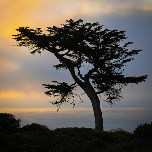Golden Gate National Recreation Area