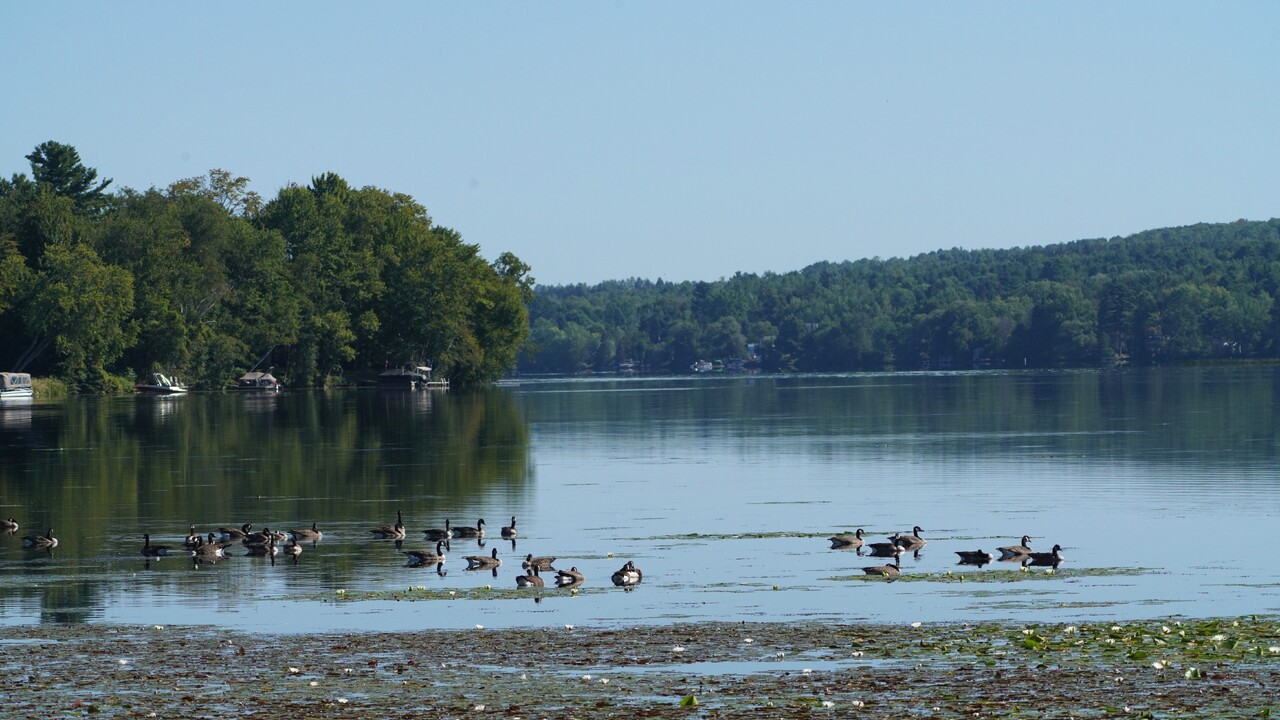 At rest along the shore