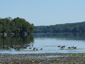 At rest along the shore