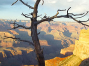 Grand Canyon National Park