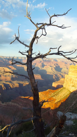 Grand Canyon National Park
