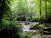 Appalachian Trail National Park