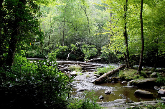Appalachian Trail National Park