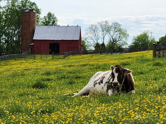 Oxon Cove Park & Oxon Hill Farm