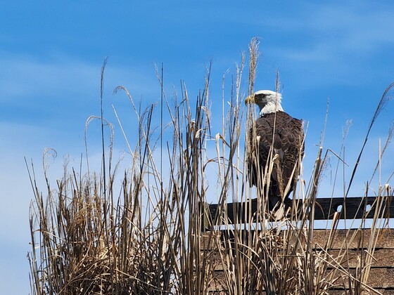 Featherstone National Wildlife Refuge