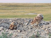 Badlands National Park
