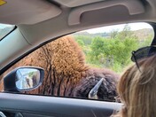 Theodore Roosevelt National Park