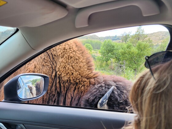Theodore Roosevelt National Park