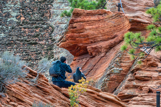 Zion National Park