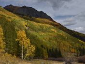 Uncompahgre National Forest
