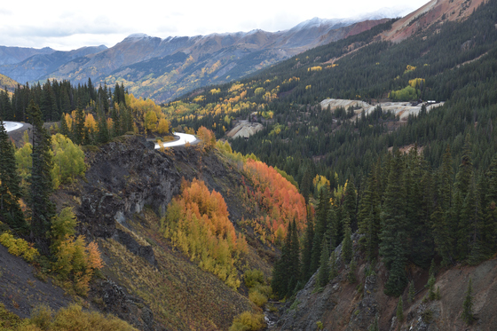 Uncompahgre National Forest
