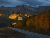 Uncompahgre National Forest