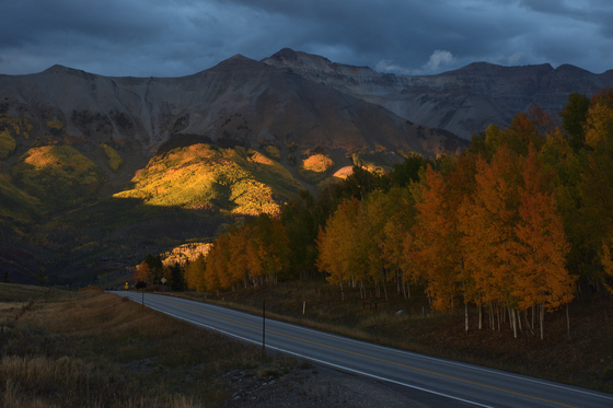 Uncompahgre National Forest