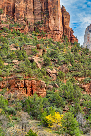 Zion National Park