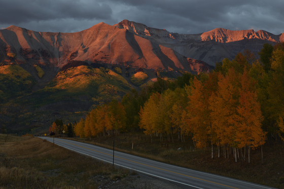 Uncompahgre National Forest