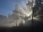 Yosemite National Park