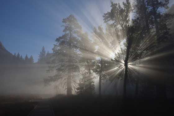 Yosemite National Park