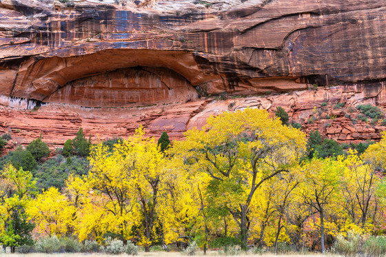 Zion National Park