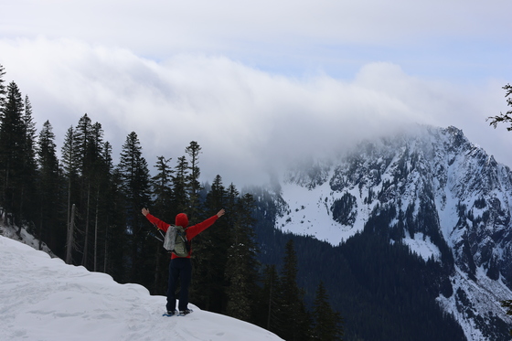 Mt. Rainier National Park