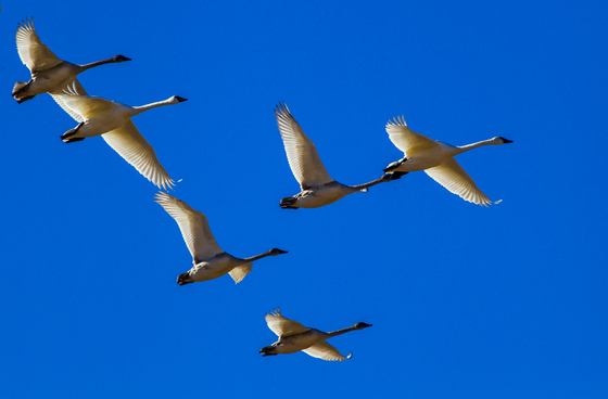 Bear Lake National Wildlife Refuge