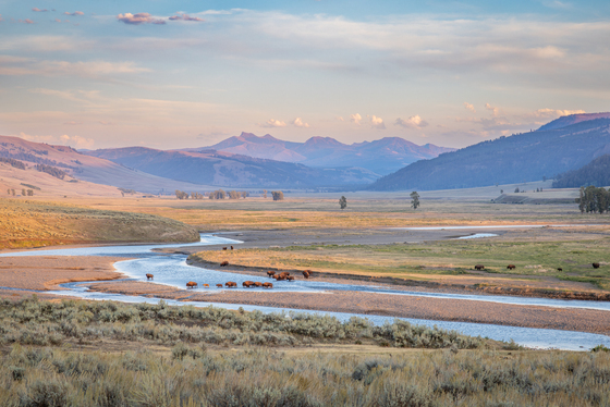 Yellowstone National Park