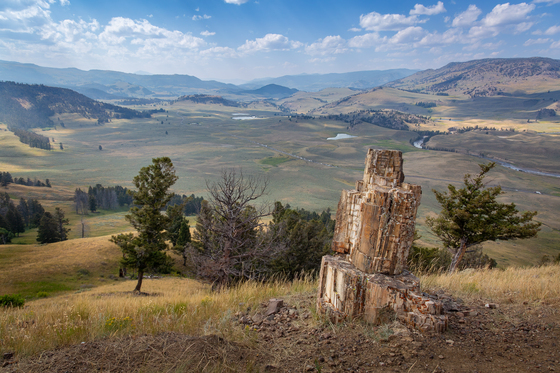 Yellowstone National Park