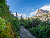 Glacier National Park