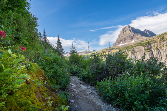 Glacier National Park