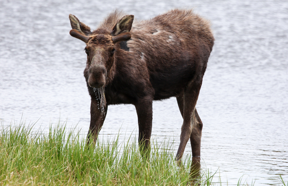 Rocky Mountain National Park 