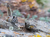Rocky Mountain National Park 
