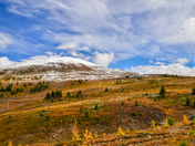 A little dusting of snow 
