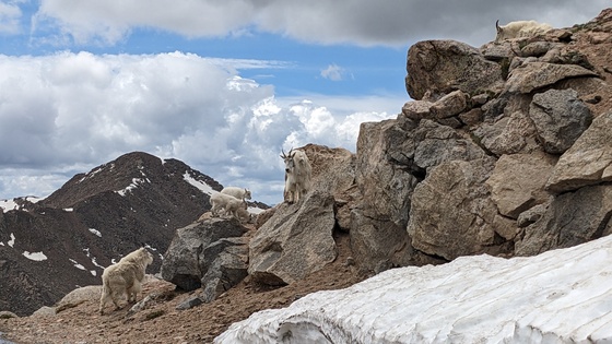 Mount Evans Wilderness