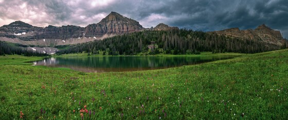 Ashley National Forest