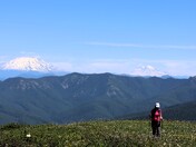 Gifford Pinchot National Forest