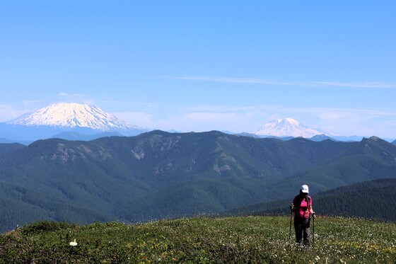 Gifford Pinchot National Forest