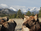 Rocky Mountain National Park