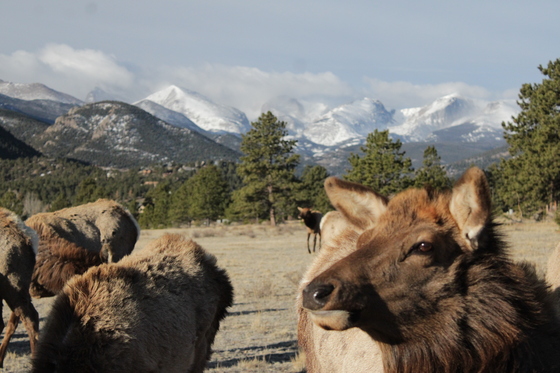 Rocky Mountain National Park