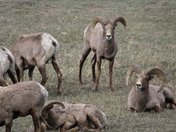 Rocky Mountain National Park