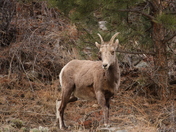 Rocky Mountain National Park