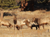 Rocky Mountain National Park